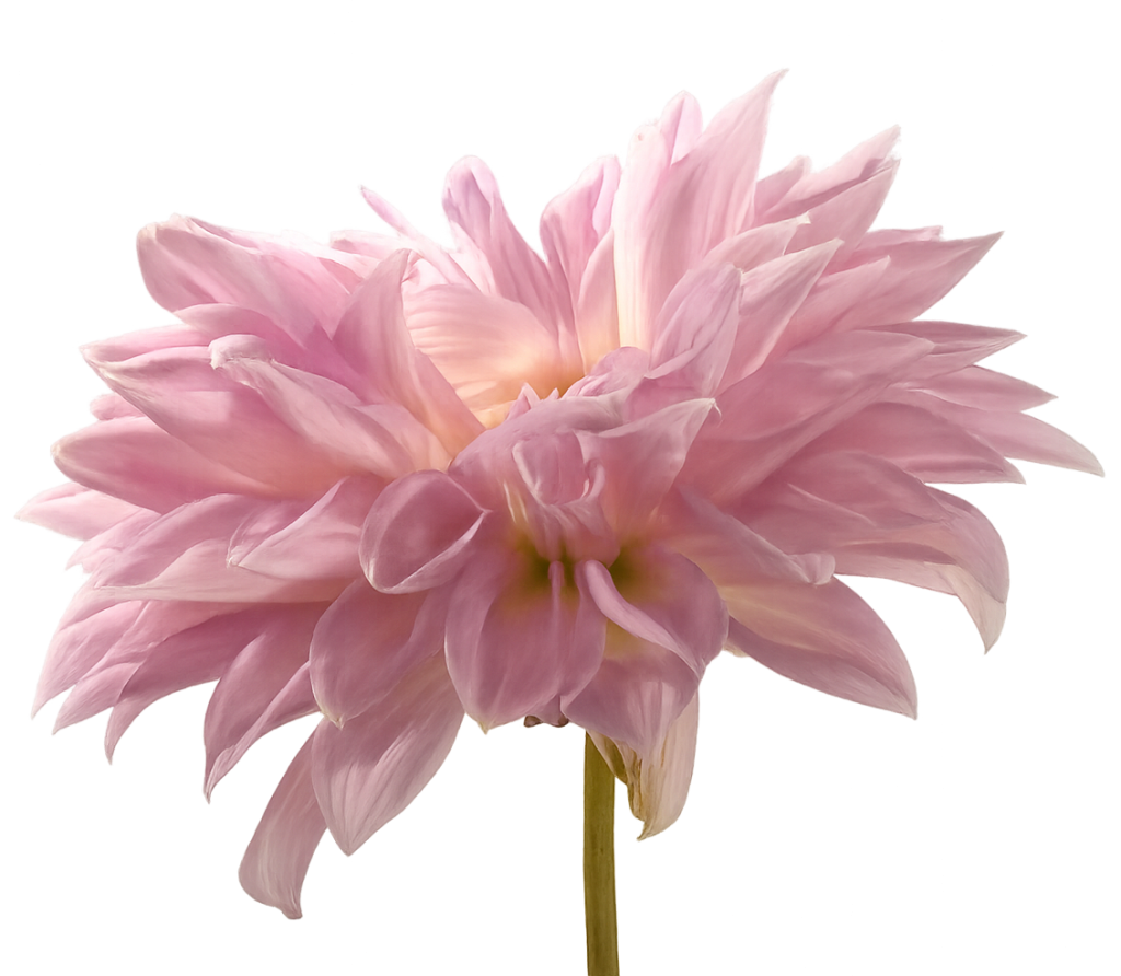 5aac284703916605a058dc195bdcbebff3f99e54